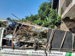 Best Hoarding Cleanup  in Decordova, TX
